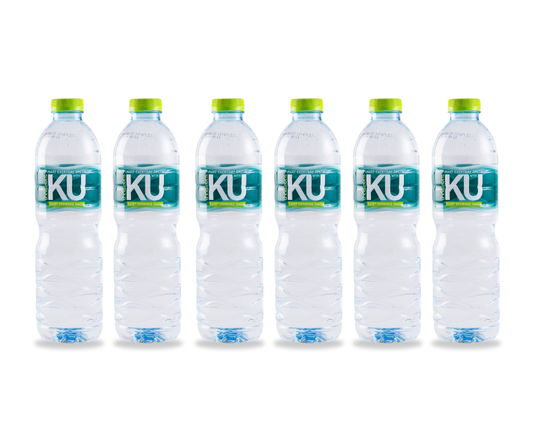 น้ำดื่ม 600 มล.